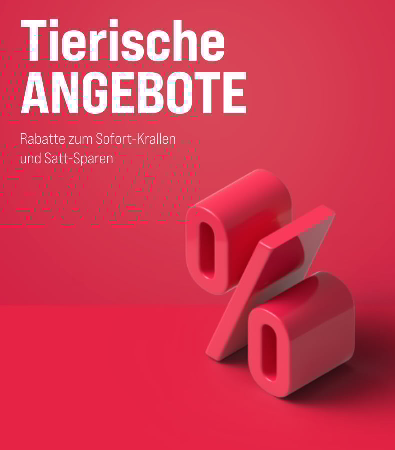 Hunde-Angebote entdecken